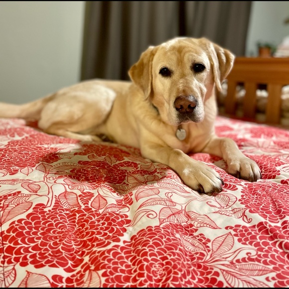 Meet your Posher, T - Picture 2 of 5